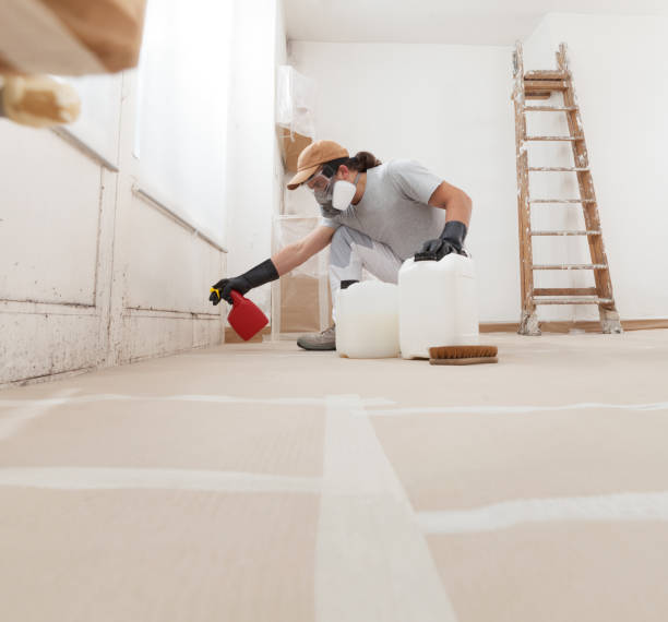 Professional Mold Removal in Calabash, NC